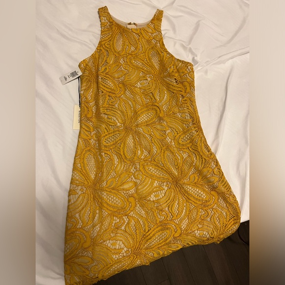 NWT - Babaton Henry Dress (Sz 0) - Picture 2 of 6